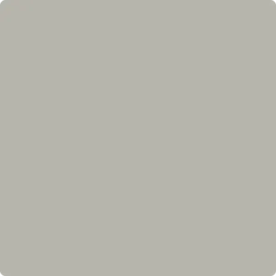 1473 Gray Huskie