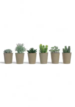 Faux Succulent in Paper Pot - 6 Styles