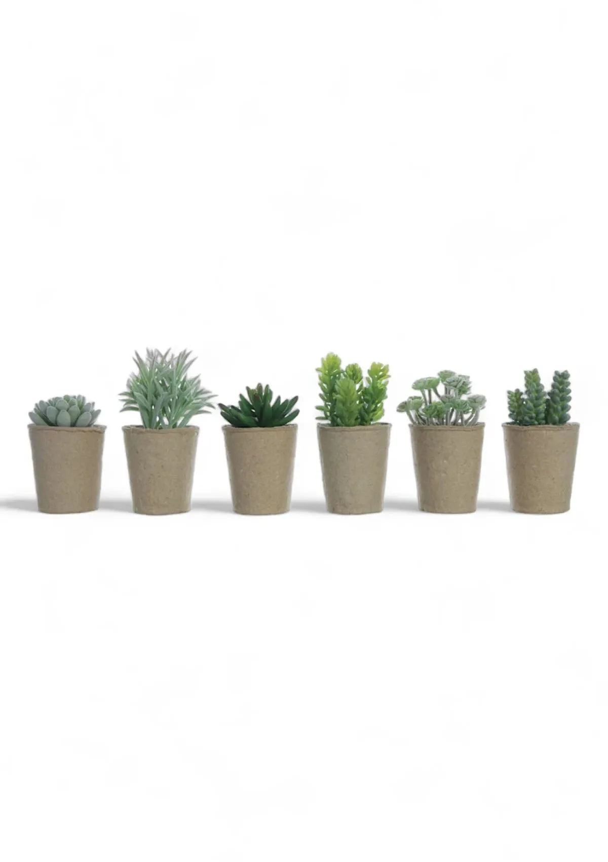 Faux Succulent in Paper Pot - 6 Styles