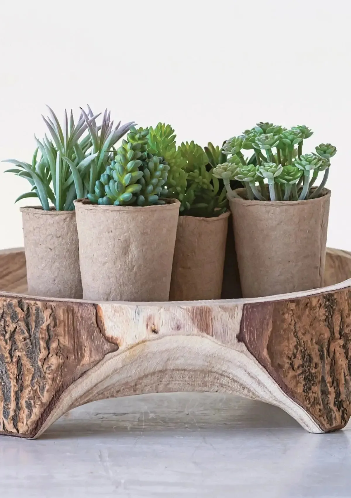 Faux Succulent in Paper Pot - 6 Styles