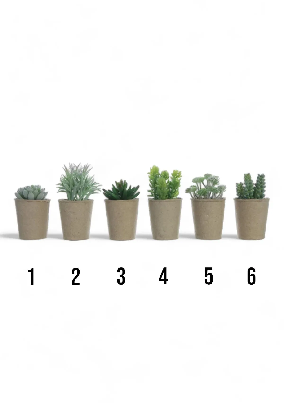 Faux Succulent in Paper Pot - 6 Styles