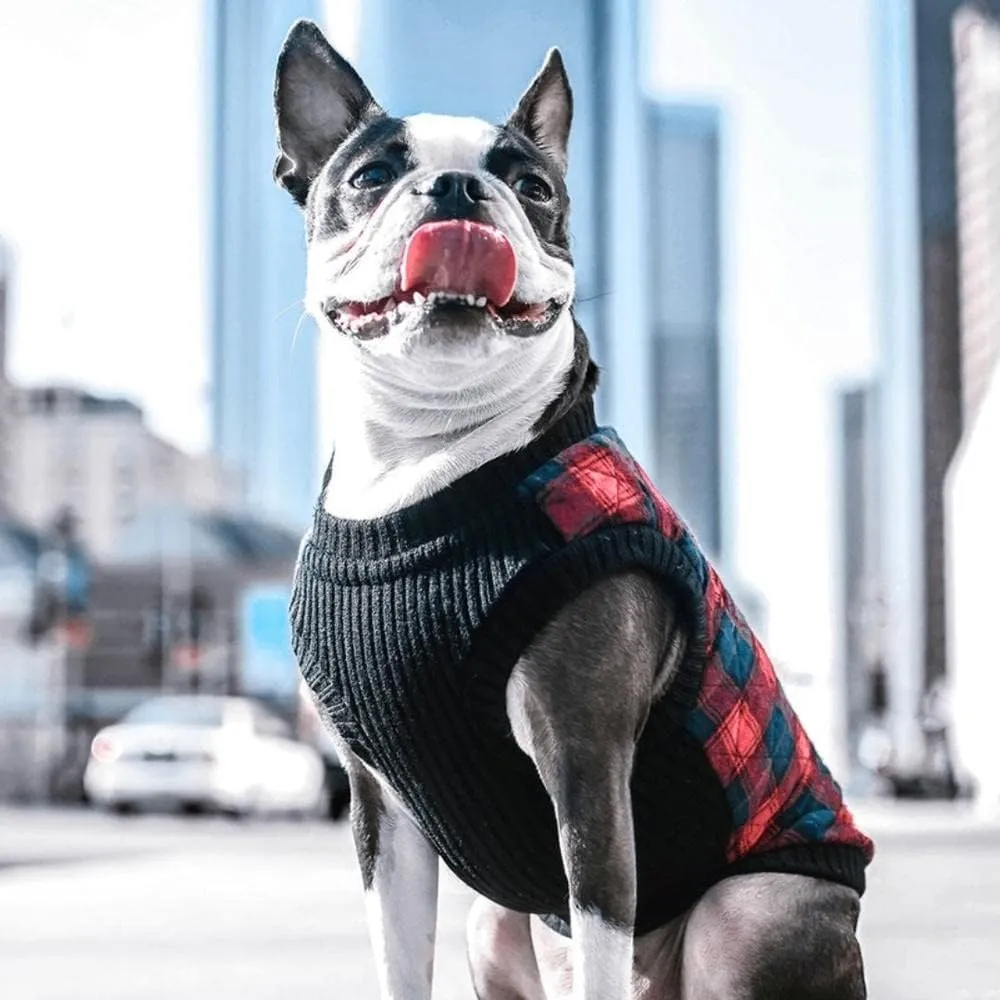 Gooby Fashion Vest Check Dog Jacket - Navy Check, Small - Warm Zip Up Bomber Vest with Dual D Ring Leash - Winter Water Resistant Small Dog Sweater
