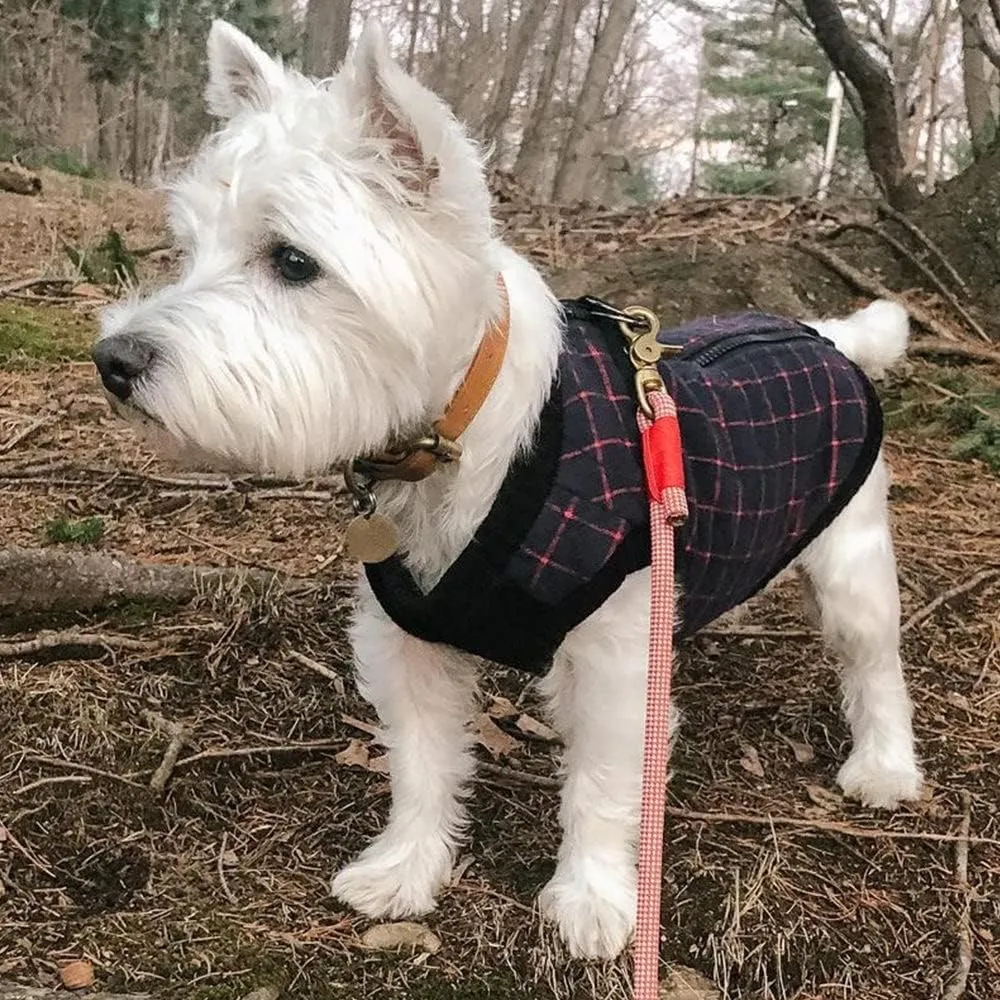Gooby Fashion Vest Check Dog Jacket - Navy Check, Small - Warm Zip Up Bomber Vest with Dual D Ring Leash - Winter Water Resistant Small Dog Sweater