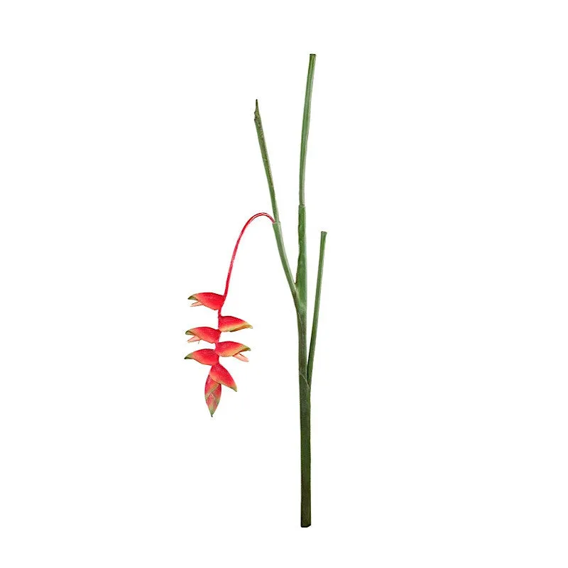 Heliconia Stem, 36" L