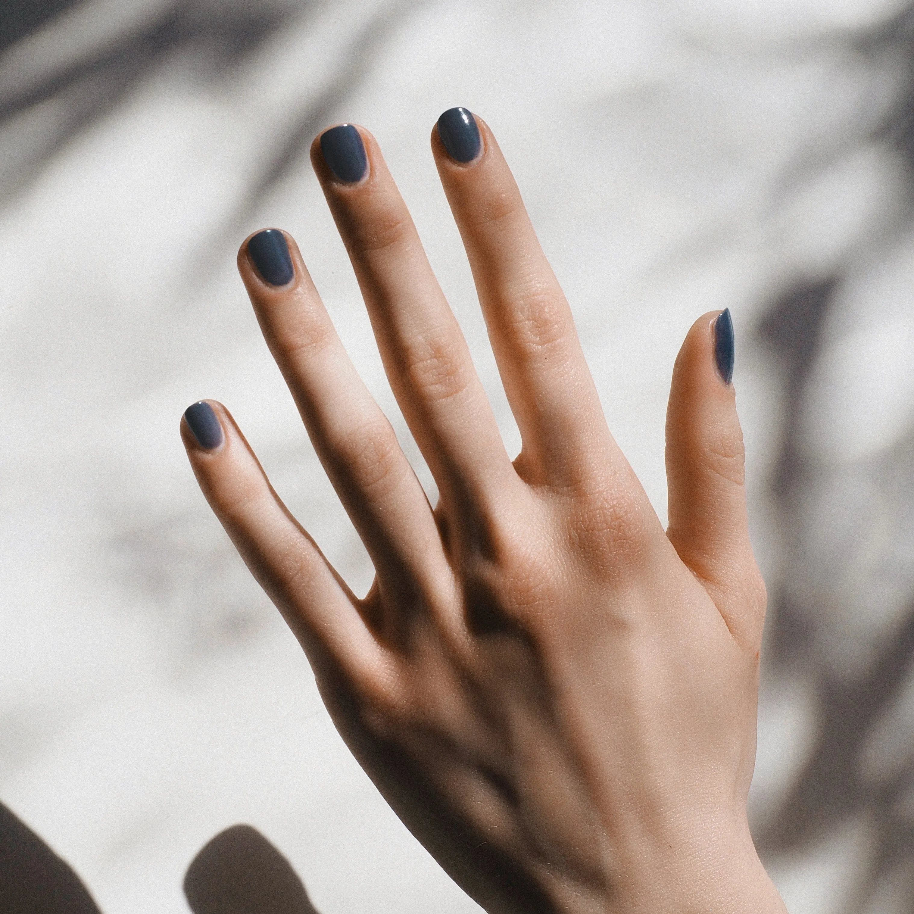 KAROLIN VAN LOON - 06 Bleue Cendré