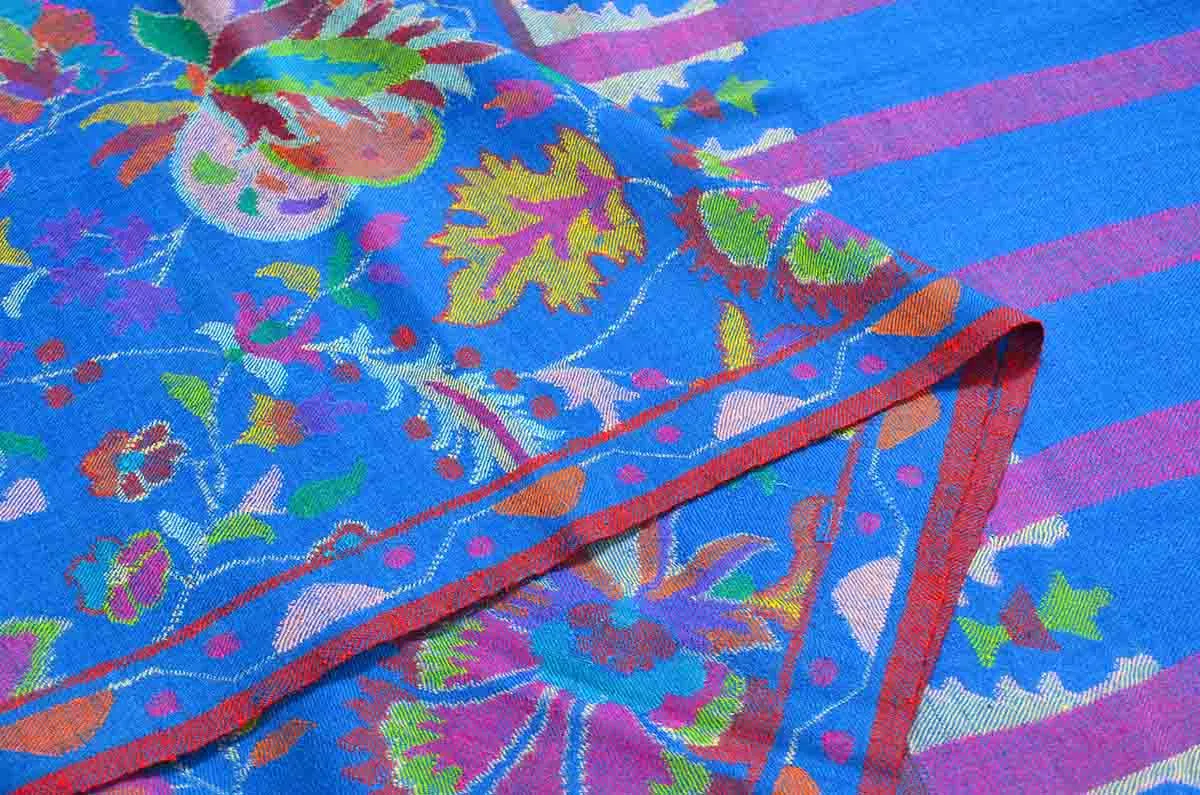 outline kani jamma - 4956